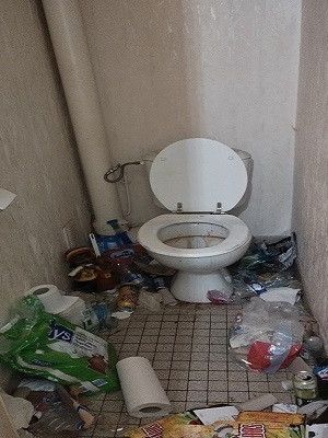 avant-nettoyage-toilette-1